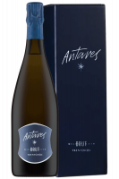 Magnum Trentodoc Brut Antares Cantina Toblino 2020 (Astucciato)