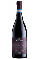 Valpolicella Ripasso Superiore Bosan Cesari 2019