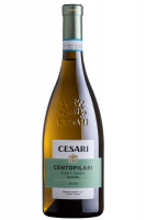 Pinot Grigio Centofilari Cesari 2023