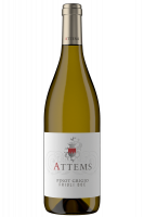 Pinot Grigio Attems 2023