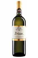 Vermentino Irisse ColleMassari 2022