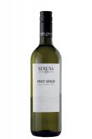 Pinot Grigio Delle Venezie Serena 1881 2024