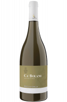 Ribolla Gialla Ca’ Bolani 2024