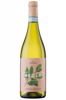 Passerina Neola iLauri 2024