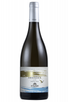 Grillo Aegades Fazio 2024