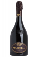 Lambrusco Marcello Gran Cru Ariola