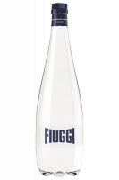 Acqua Fiuggi Frizzante In Plastica 33cl