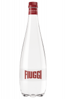 Acqua Fiuggi Leggermente Frizzante In Plastica 33cl