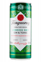 Tanqueray & Tonic Lattina 25cl