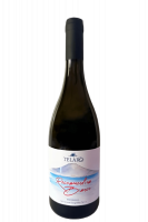 Biancolella Roccamonfina Telaro 2024