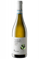 Verdicchio di Matelica Valbona Belisario 2024
