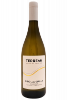 Ribolla Gialla Terre46 2025