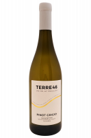 Pinot Grigio Terre46 2025