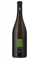 Riesling Luca Padroggi 2024