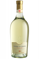 Mezza Bottiglia Frascati Terre Dei Grifi Fontana Candida 2023 375ml