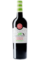 Primitivo Balia Nera Biologico Masseria Spaccafico 2024