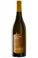 Angimbé Cusumano 2024