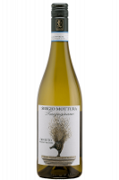 Tragugnano Sergio Mottura 2023