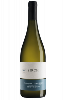 Pinot Grigio Sirch 2024