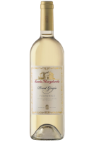 Pinot Grigio Valdadige Santa Margherita 2024
