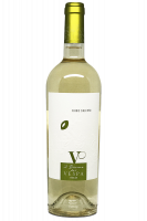 Il Bianco Dei Vespa Vespa 2021