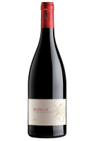 Valpolicella Superiore Musella 2020 
