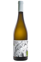 Malvasia Puntinata Federici 2024