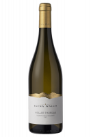 Müller Thurgau Elena Walch 2024