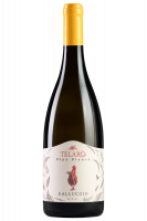 Ripa Bianca Galluccio Telaro 2023