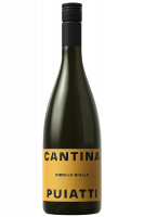 Ribolla Gialla Puiatti 2024