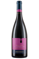 Lacrima Di Morro D'alba Fonte Del Re Umani Ronchi 2023