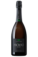 Franciacorta Pinònero Natura Contadi Castaldi 2015