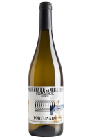 Roma Bianco Fortunaro Marziale ed Orazio 2021