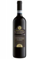 Valpolicella Classico Bottega 2018