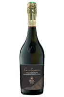 Cartizze Dry Bisol 2023