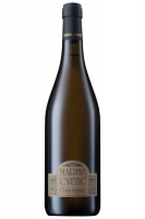 Chardonnay Marina Cvetic Masciarelli 2022