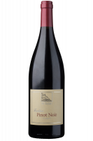 Pinot Nero Terlano 2022