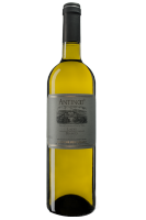 Antinoo Casale Del Giglio 2022