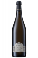 Trebbiano D'Abruzzo Riserva Marina Cvetic Masciarelli 2023
