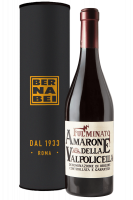 Amarone Fulminato 2021 (Astucciato)