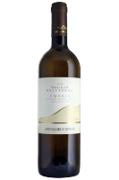 Grechetto Poggio Belvedere 2024 Arnaldo Caprai