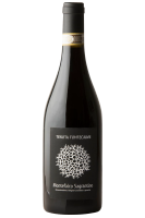 Sagrantino Di Montefalco Tenuta Fontecaime 2019