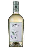 Tellus Chardonnay Falesco 2024