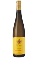 Friulano Schiopetto 2023