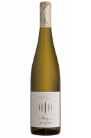 Pinot Bianco Moriz Cantina Tramin 2022
