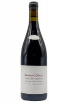 Olevano Romano DOC Cesanese Riserva 2020 Damiano Ciolli