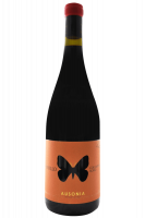 Colli Aprutini Rosso Apollo Ausonia 2021