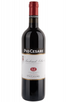 Barbera D'Alba Pio Cesare 2023