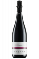 Lambrusco Secco Opera02