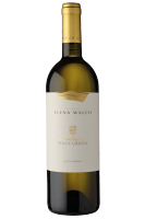 Pinot Grigio Castel Ringberg Elena Walch 2022